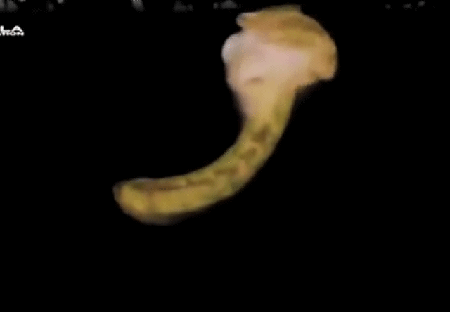 aiselect_20251008_192033_soul