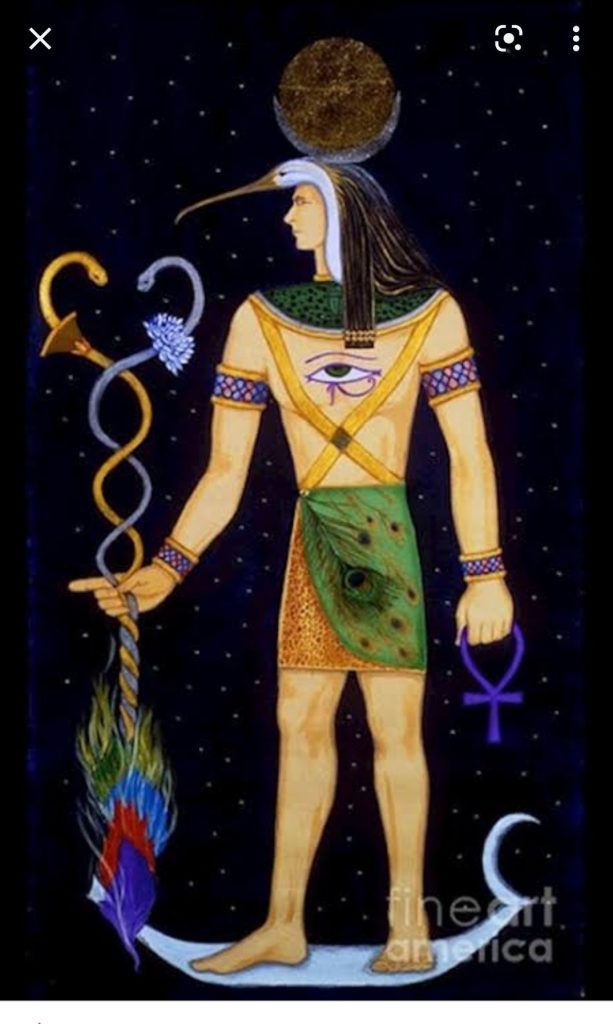 fb4xn-3xoaattn1-613x1024-1051740-9414003