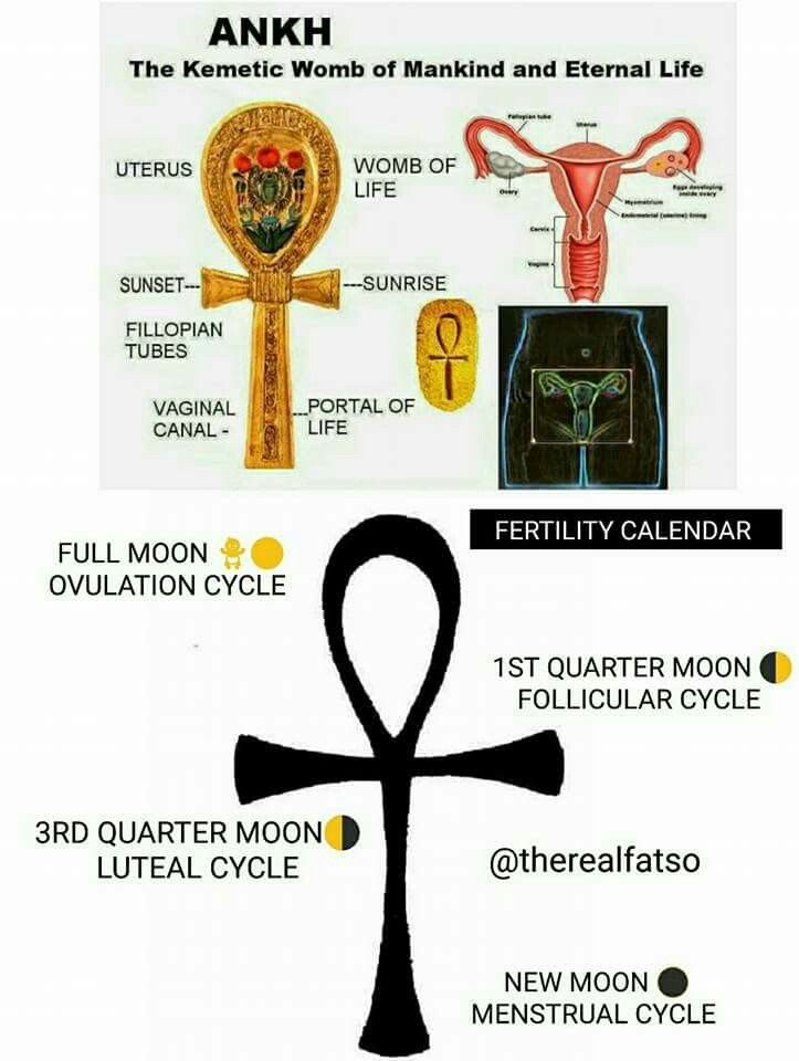 cfd21057d0f9ddaadfa83fab1ae762a7-3638915-2154335