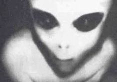 images-17-1-5832170-2364401