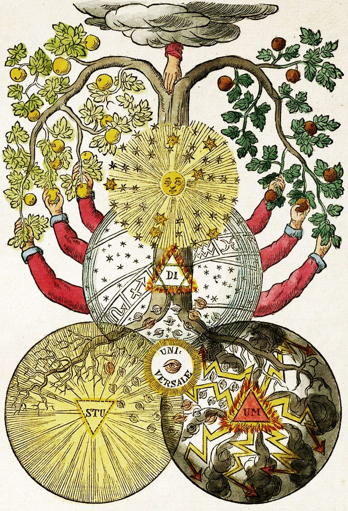 iu-6-2-4932614-8039845